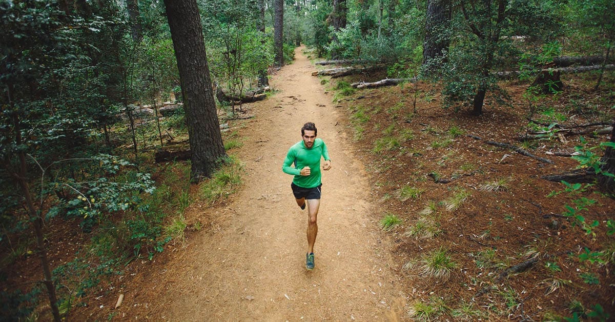 Fit active man running a trail through a forest