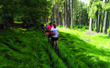 Miloš Škorpil: „Až se zastavím, umřu.“